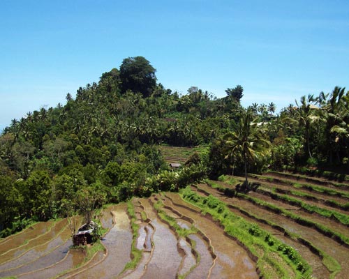 crested hill bukit jambul