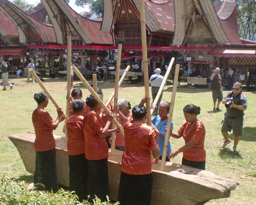 celebes indonesia tour packages
