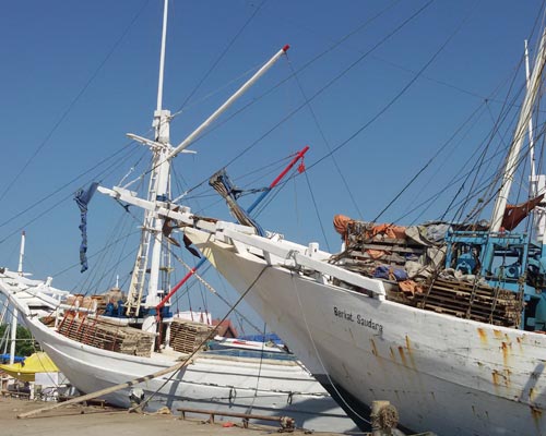 celebes indonesia tour packages