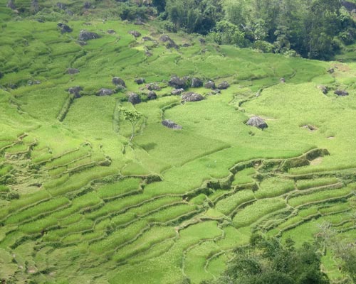 celebes indonesia tour packages