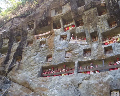 celebes indonesia tour packages