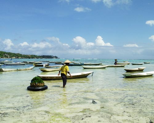 PLAYAS PARADISIACAS DE LAS ISLAS DE NUSA LEMBONGAN Y NUSA CENINGAN