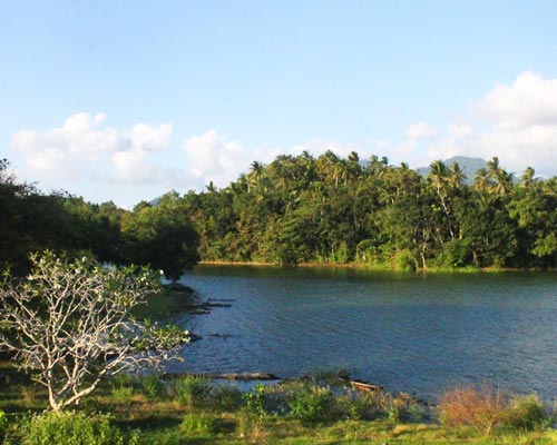 los arrozales de Soka