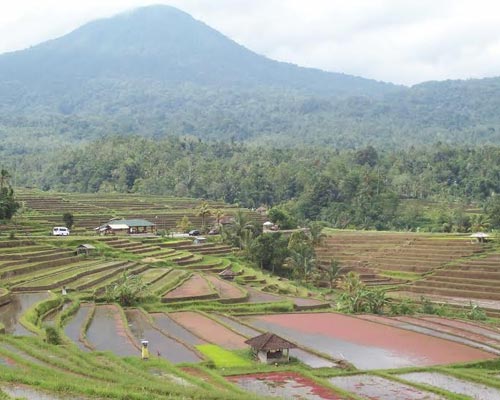 bali trekking climbing